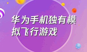 华为手机独有模拟飞行游戏