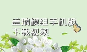 盖瑞模组手机版下载视频（盖瑞模组手机正版免费下载）