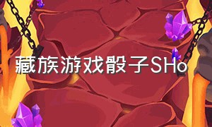 藏族游戏骰子SHo