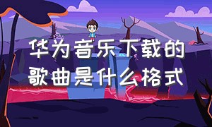 华为音乐下载的歌曲是什么格式（什么音乐软件下载格式是mp3）