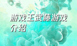 游戏王武藤游戏介绍