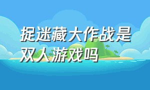 捉迷藏大作战是双人游戏吗