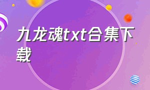 九龙魂txt合集下载