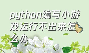 python编写小游戏运行不出来怎么办（python代码写出来的游戏怎么运行）