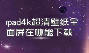 ipad4k超清壁纸全面屏在哪能下载（4k高清ipad壁纸）