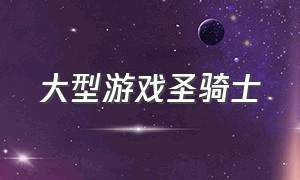 大型游戏圣骑士