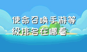 使命召唤手游等级排名在哪看