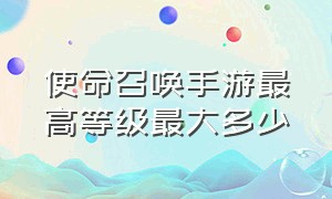 使命召唤手游最高等级最大多少