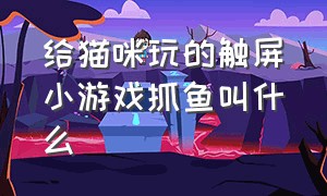 给猫咪玩的触屏小游戏抓鱼叫什么