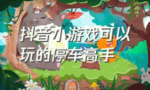 抖音小游戏可以玩的停车高手