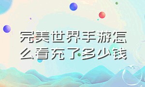 完美世界手游怎么看充了多少钱（完美世界手游什么是金币）