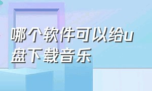 哪个软件可以给u盘下载音乐（哪个软件可以下载音乐到u盘）