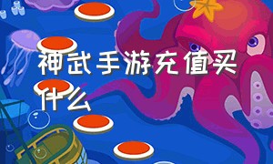 神武手游充值买什么（神武4手游第三方充值）