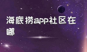 海底捞app社区在哪（海底捞app功能）