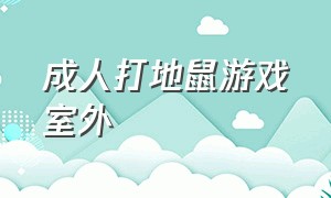 成人打地鼠游戏室外