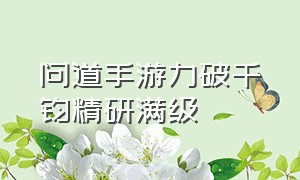 问道手游力破千钧精研满级