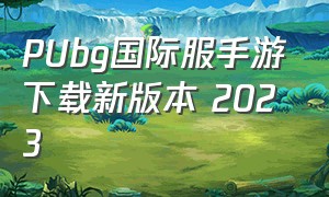 PUbg国际服手游下载新版本 2023（PUBG国际服官方手游下载入口）