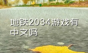 地铁2034游戏有中文吗