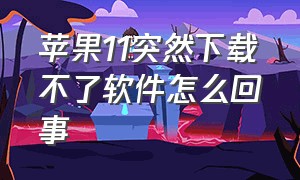 苹果11突然下载不了软件怎么回事