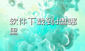 软件下载到d盘哪里