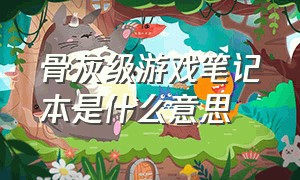 骨灰级游戏笔记本是什么意思（骨灰级游戏笔记本是什么意思呀）