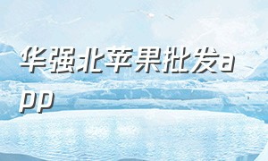 华强北苹果批发app