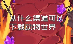 从什么渠道可以下载动物世界