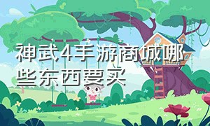 神武4手游商城哪些东西要买（神武4手游哪个渠道折扣多）