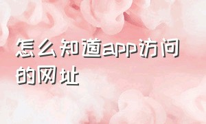 怎么知道app访问的网址