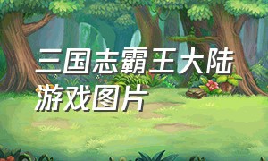 三国志霸王大陆游戏图片（三国志霸王大陆2中文版手机下载安装）