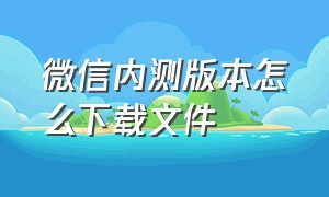 微信内测版本怎么下载文件