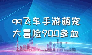 qq飞车手游萌宠大冒险900多血（qq飞车宠物）