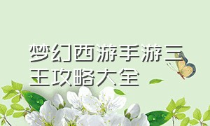 梦幻西游手游三王攻略大全