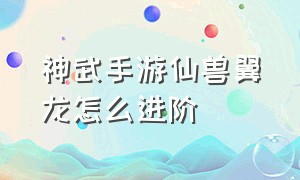 神武手游仙兽翼龙怎么进阶