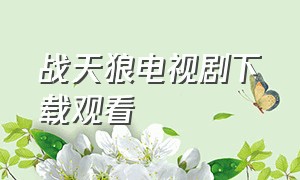 战天狼电视剧下载观看（电视剧战天狼1-40集免费观看）