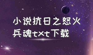 小说抗日之怒火兵魂txt下载