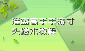 灌篮高手手游寸头樱木教程