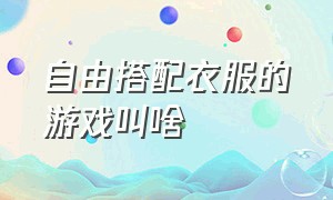 自由搭配衣服的游戏叫啥