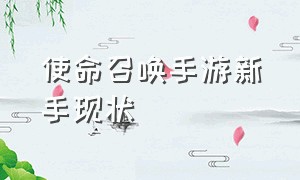 使命召唤手游新手现状