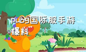 pubg国际服手游爆料（pubg国际服手游手册最新爆料）