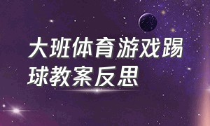 大班体育游戏踢球教案反思