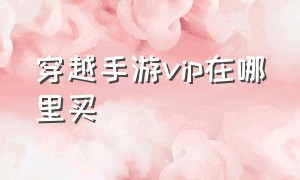 穿越手游vip在哪里买（穿越手游会员价格表）