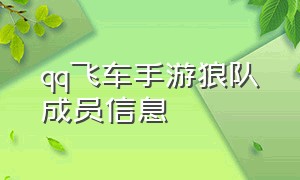 qq飞车手游狼队成员信息