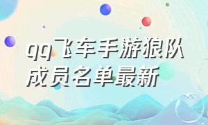 qq飞车手游狼队成员名单最新