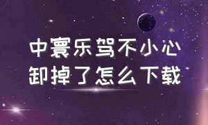 中寰乐驾不小心卸掉了怎么下载（安卓怎么下载中寰学车）