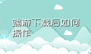 端游下载后如何操作