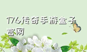 176传奇手游盒子官网