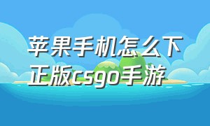 苹果手机怎么下正版csgo手游