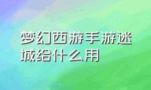 梦幻西游手游迷城给什么用