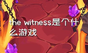 the witness是个什么游戏